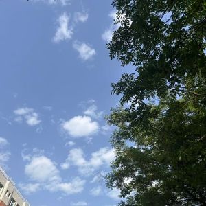 郁郁苍苍的天涯