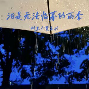 泪是无法临摹的雨季