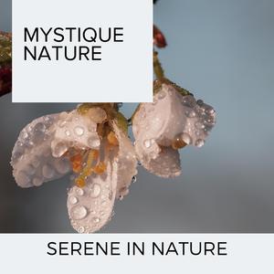 Fire Noise Palm Garden