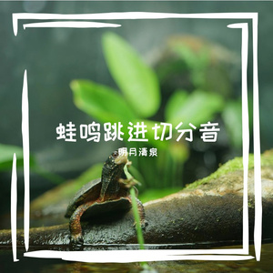 蛙鸣跳进切分音