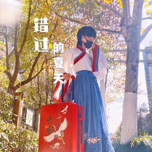 错过的夏天