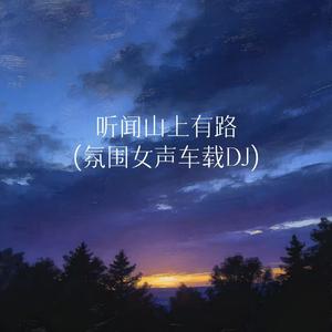听闻山上有路(氛围女声车载DJ)