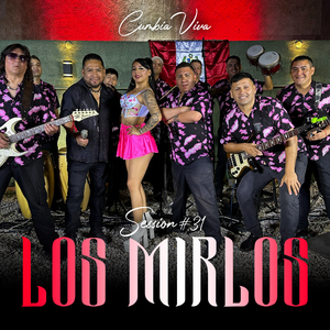 La danza de Los Mirlos