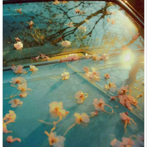 最好的我（我明白要你爱是荒谬的要求）