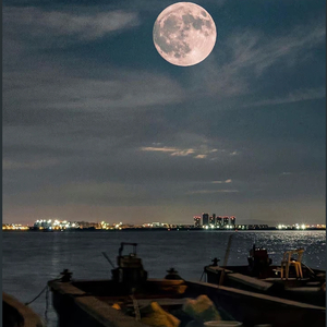 总有一天你会出现在我身边