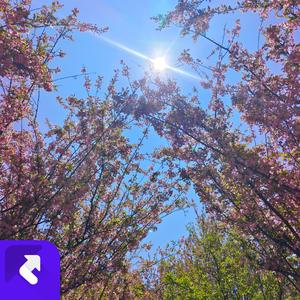 我们两个有感情 (Remix)