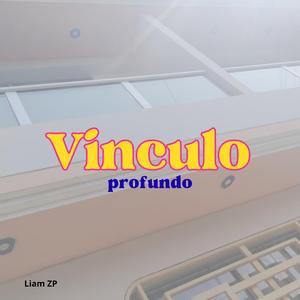 Vinculo Profundo