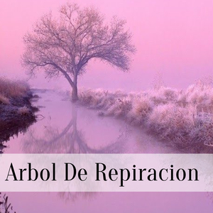 Arbol De Repiracion