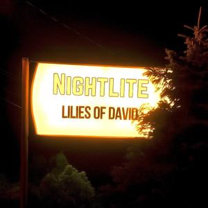 Nightlite
