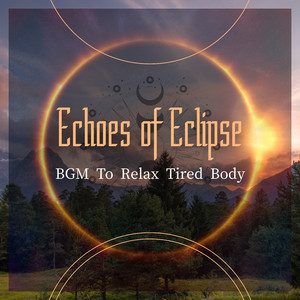 Reflections of a Mind