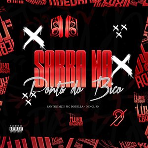 Sarra na Ponta do Bico