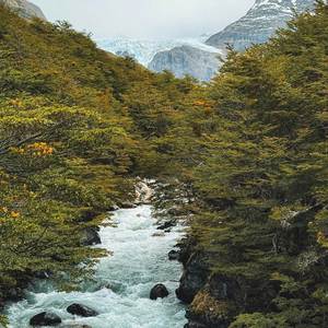 living like a rolling stone (feat. yunny goldz)