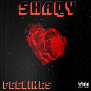Feelings