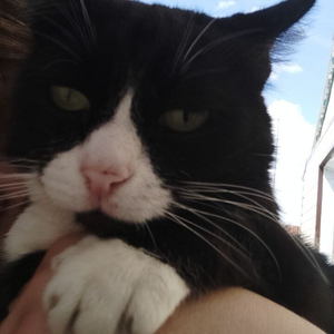 вечером (prod. atboy)