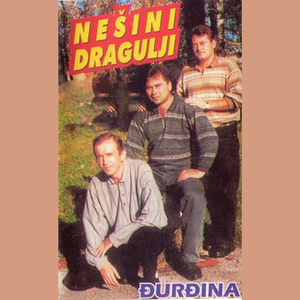Ljubavna stranka