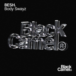 Body Swayz (Extended Mix)