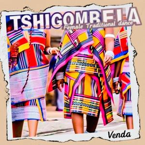 TSHIGOMBELA (venda female traditional dance) (Live)