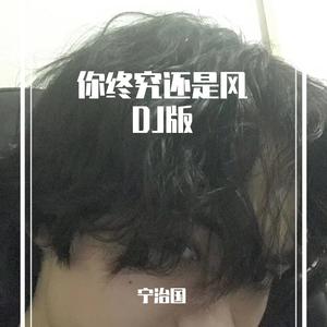 你终究还是风DJ版