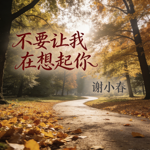 不要让我在想起你