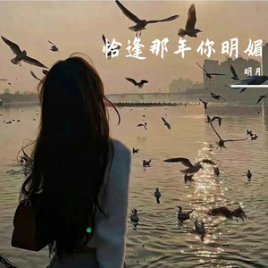 恰逢那年你明媚