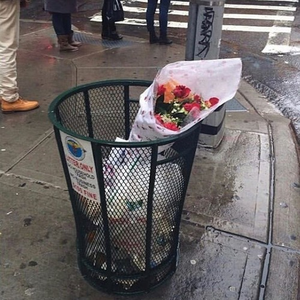 forest fire (whokilledcj flip)