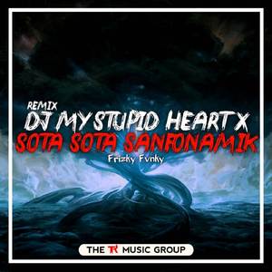 DJ My Stupid Heart X Sota Sota Sanfonamix (Remix)