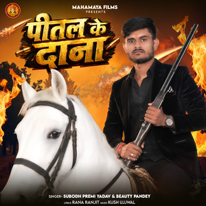 Pittal Ke Dana