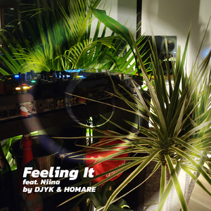 Feeling It (feat. Niina)