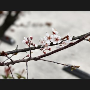 因你而知足的关系