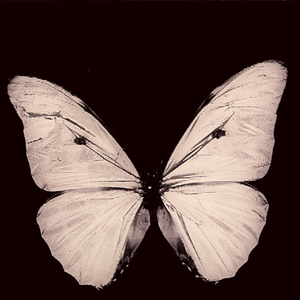 Darkened Landing