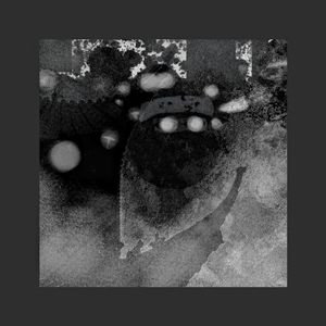 中西结合，药到病除