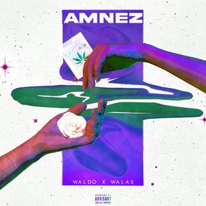 AMNEZ (feat. Waldo)