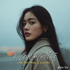 รักเธอแต่เธอไม่รู้ (You Don’t Know I Love You)