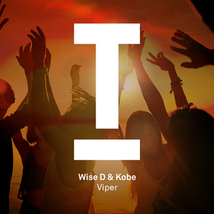 Viper (Original Mix)