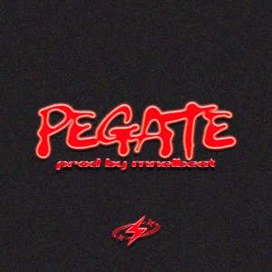 PEGATE