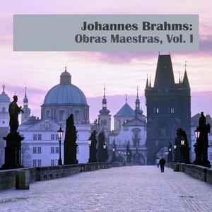 Piano and Orchestra Concerto No. 2 in B-Flat Major, Op. 83: I. Allegro non troppo