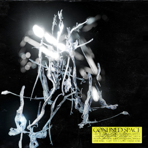 80ft with a GoPro (Nahash Remix)