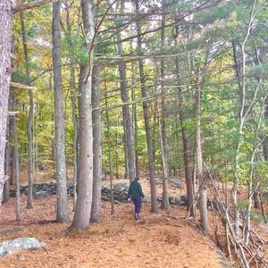 WantItAll! (feat. Flairr)