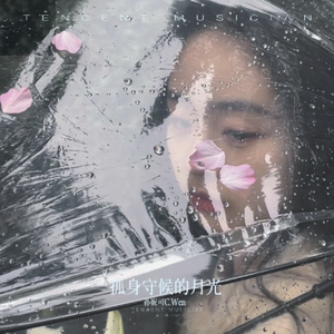 孤身守候的月光