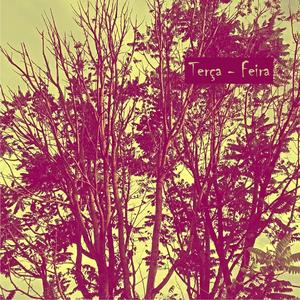 Irresponsabilidades Transitais