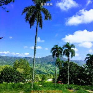 适合在家里工作高尚的音乐