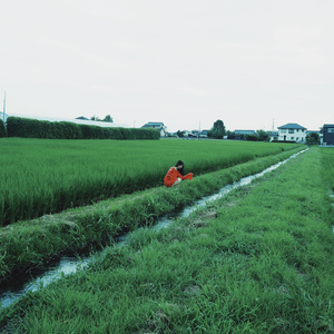 水たまりに映る空