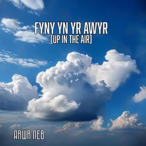 Fyny yn yr Awyr
