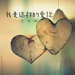 我是这样的爱你