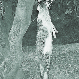 听梦（Prod By 罗叁萬）