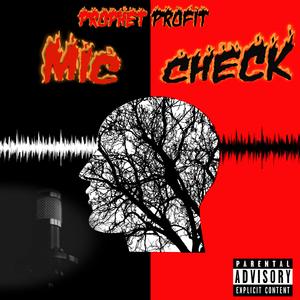 Mic Check