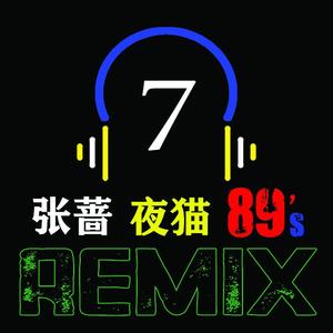 张蔷-夜猫 (89's Remix)