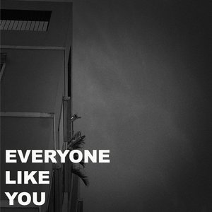 Everyone Like You