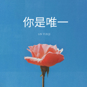 你是唯一