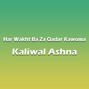 Hum Sarphiray Bugray Huay Nawab Hain